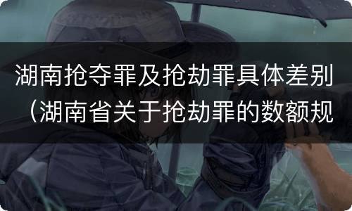 湖南抢夺罪及抢劫罪具体差别（湖南省关于抢劫罪的数额规定）