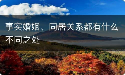 事实婚姻、同居关系都有什么不同之处