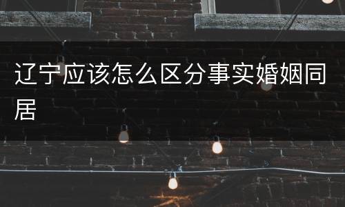 辽宁应该怎么区分事实婚姻同居