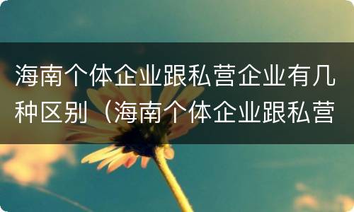 海南个体企业跟私营企业有几种区别（海南个体企业跟私营企业有几种区别在哪）