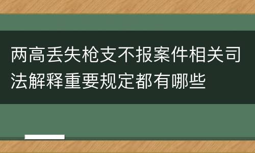 两高丢失枪支不报案件相关司法解释重要规定都有哪些