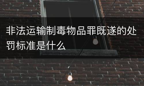 非法运输制毒物品罪既遂的处罚标准是什么
