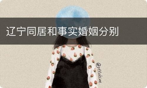 辽宁同居和事实婚姻分别
