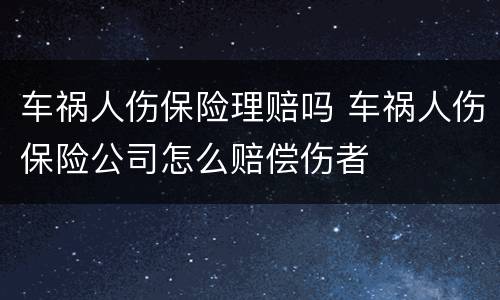 车祸人伤保险理赔吗 车祸人伤保险公司怎么赔偿伤者