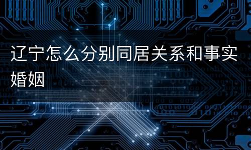 辽宁怎么分别同居关系和事实婚姻