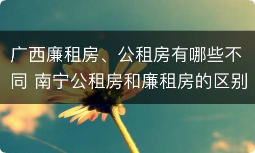 广西廉租房、公租房有哪些不同 南宁公租房和廉租房的区别