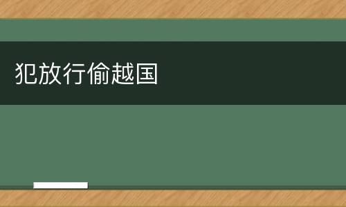 犯放行偷越国