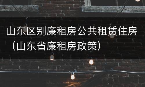 山东区别廉租房公共租赁住房（山东省廉租房政策）