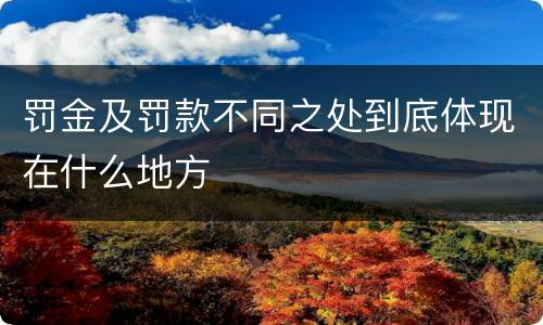 罚金及罚款不同之处到底体现在什么地方
