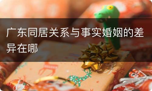 广东同居关系与事实婚姻的差异在哪