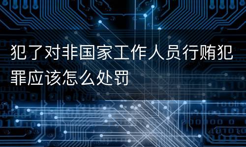 犯了对非国家工作人员行贿犯罪应该怎么处罚