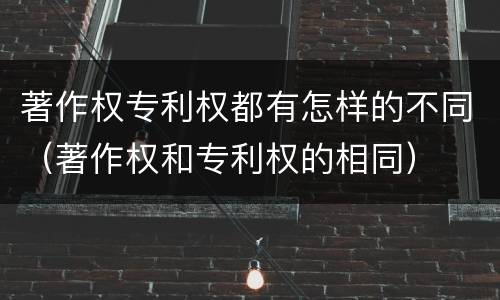 著作权专利权都有怎样的不同（著作权和专利权的相同）