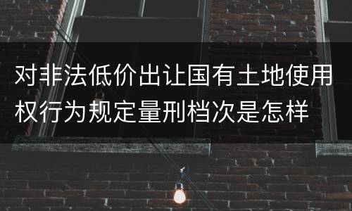 对非法低价出让国有土地使用权行为规定量刑档次是怎样