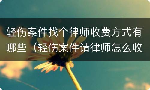 轻伤案件找个律师收费方式有哪些（轻伤案件请律师怎么收费）
