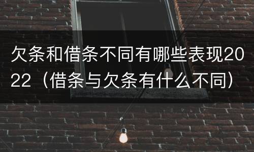 欠条和借条不同有哪些表现2022（借条与欠条有什么不同）