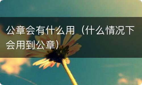 公章会有什么用（什么情况下会用到公章）