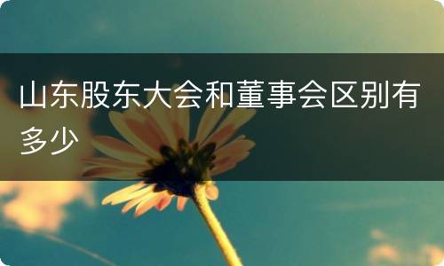 山东股东大会和董事会区别有多少