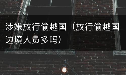 涉嫌放行偷越国（放行偷越国边境人员多吗）