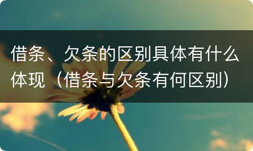 借条、欠条的区别具体有什么体现（借条与欠条有何区别）