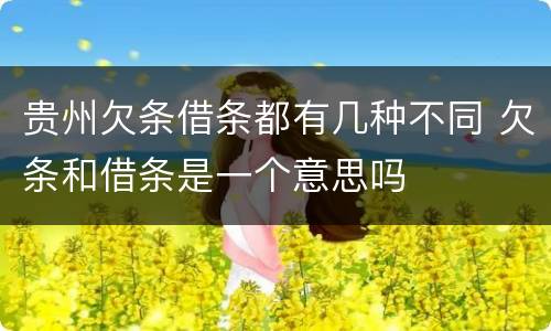 贵州欠条借条都有几种不同 欠条和借条是一个意思吗