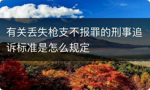 有关丢失枪支不报罪的刑事追诉标准是怎么规定