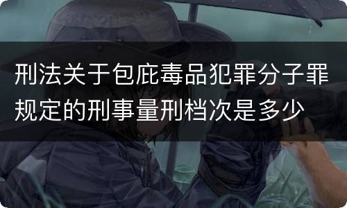 刑法关于包庇毒品犯罪分子罪规定的刑事量刑档次是多少