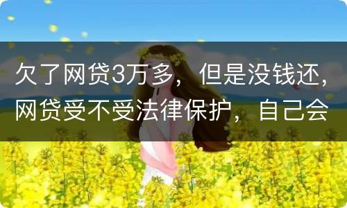欠了网贷3万多，但是没钱还，网贷受不受法律保护，自己会承担什么责任