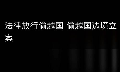 法律放行偷越国 偷越国边境立案