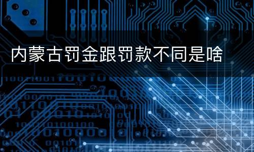 内蒙古罚金跟罚款不同是啥