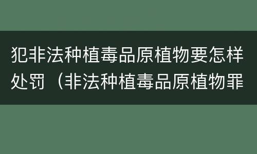 犯非法种植毒品原植物要怎样处罚（非法种植毒品原植物罪情节严重）