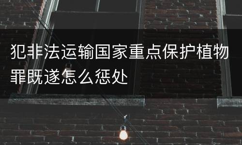 犯非法运输国家重点保护植物罪既遂怎么惩处