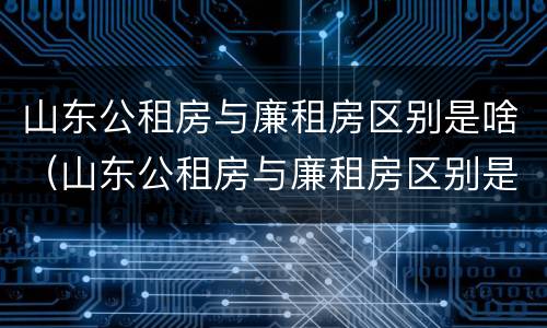 山东公租房与廉租房区别是啥（山东公租房与廉租房区别是啥呀）