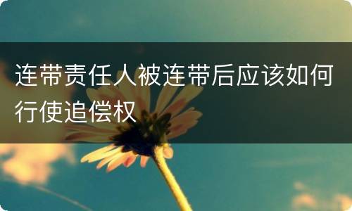连带责任人被连带后应该如何行使追偿权