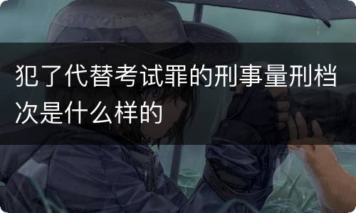 犯了代替考试罪的刑事量刑档次是什么样的