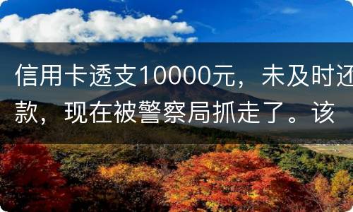信用卡透支10000元，未及时还款，现在被警察局抓走了。该如何处理