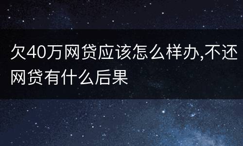 欠40万网贷应该怎么样办,不还网贷有什么后果