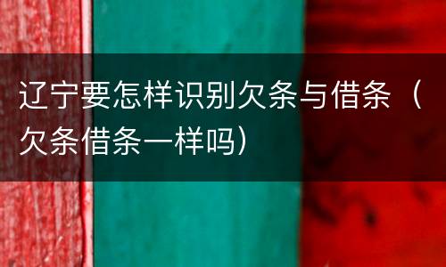 辽宁要怎样识别欠条与借条（欠条借条一样吗）