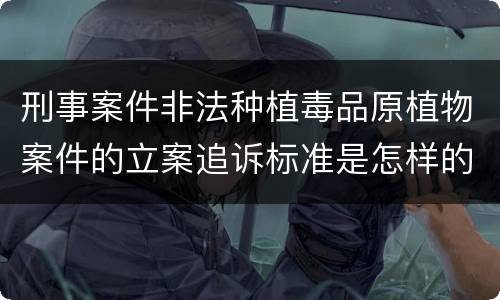 刑事案件非法种植毒品原植物案件的立案追诉标准是怎样的