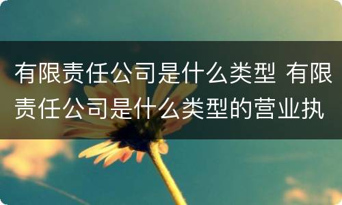 有限责任公司是什么类型 有限责任公司是什么类型的营业执照?