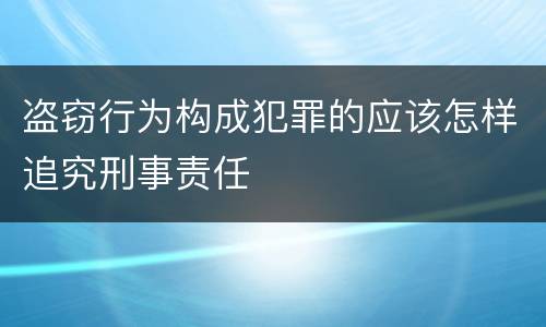 盗窃行为构成犯罪的应该怎样追究刑事责任