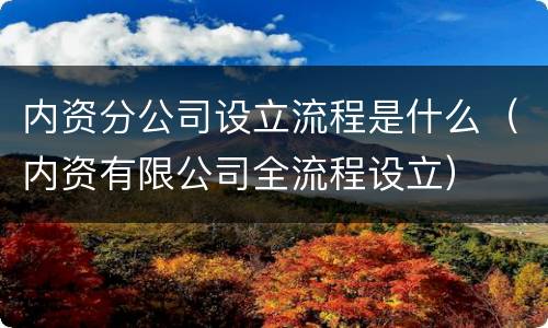内资分公司设立流程是什么（内资有限公司全流程设立）