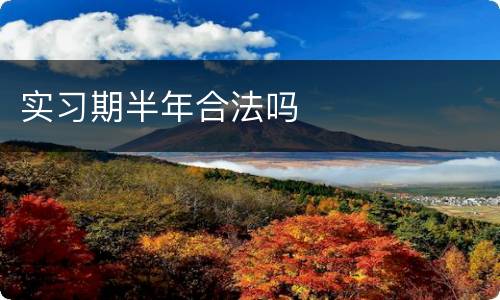 实习期半年合法吗