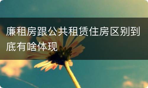 廉租房跟公共租赁住房区别到底有啥体现