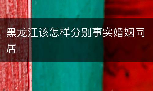 黑龙江该怎样分别事实婚姻同居