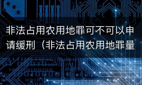 非法占用农用地罪可不可以申请缓刑（非法占用农用地罪量刑）