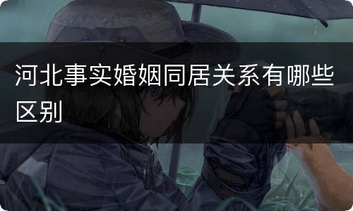 河北事实婚姻同居关系有哪些区别