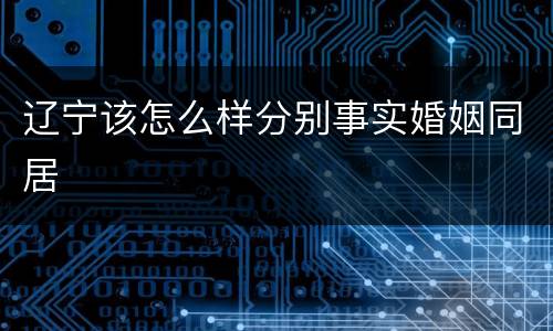 辽宁该怎么样分别事实婚姻同居