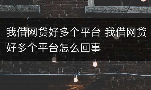 我借网贷好多个平台 我借网贷好多个平台怎么回事