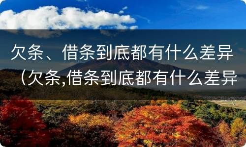 欠条、借条到底都有什么差异（欠条,借条到底都有什么差异呢）