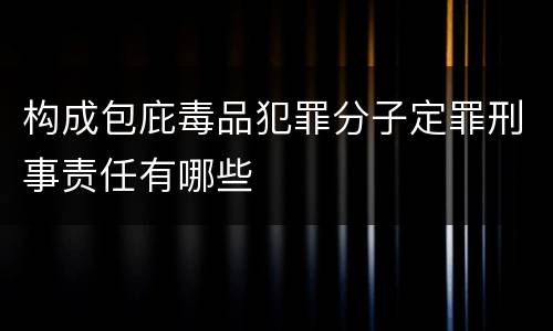 构成包庇毒品犯罪分子定罪刑事责任有哪些